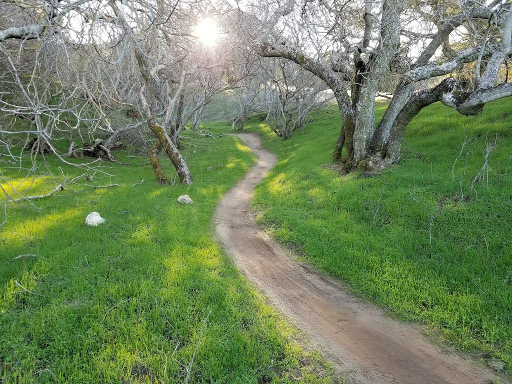 Lime Ridge Open Space | Ygnacio Valley Rd, Walnut Creek, CA 94598, USA | Phone: (925) 943-5800