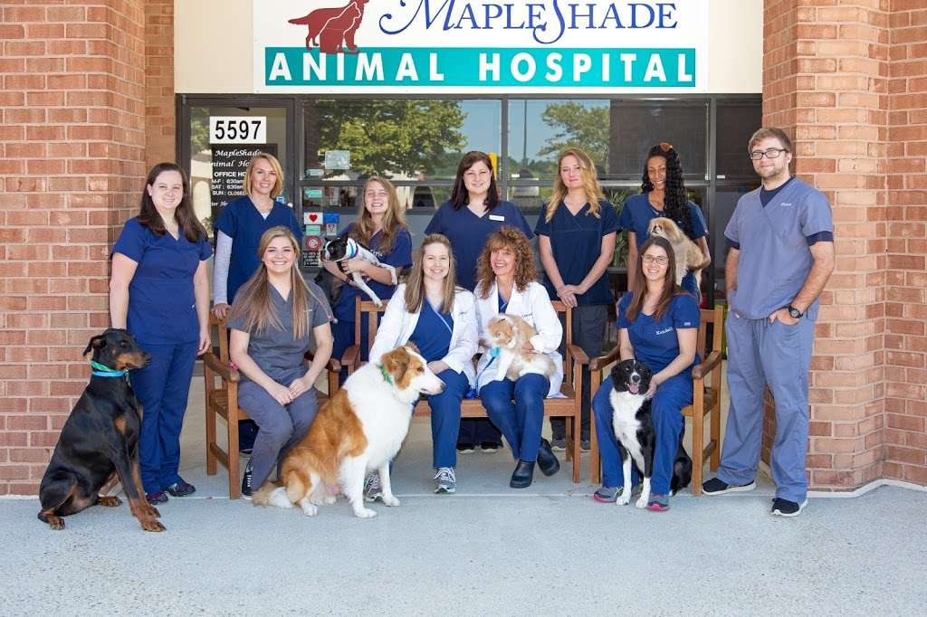 Mapleshade Animal Hospital | 5597 Mapledale Plaza, Dale City, VA 22193, USA | Phone: (703) 670-7668