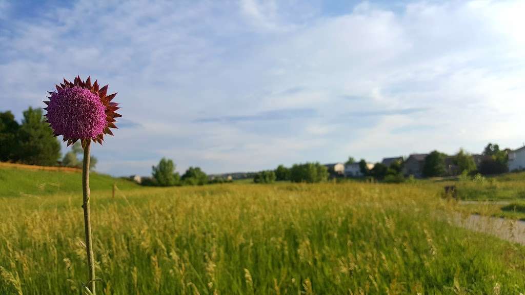 Big Dry Creek Park | 9898 Atherton Way, Highlands Ranch, CO 80130, USA | Phone: (303) 791-0430 Big Dry Creek Park | 9898 Atherton Way, Highlands Ranch, CO 80130, USA | Phone: (303) 791-0430