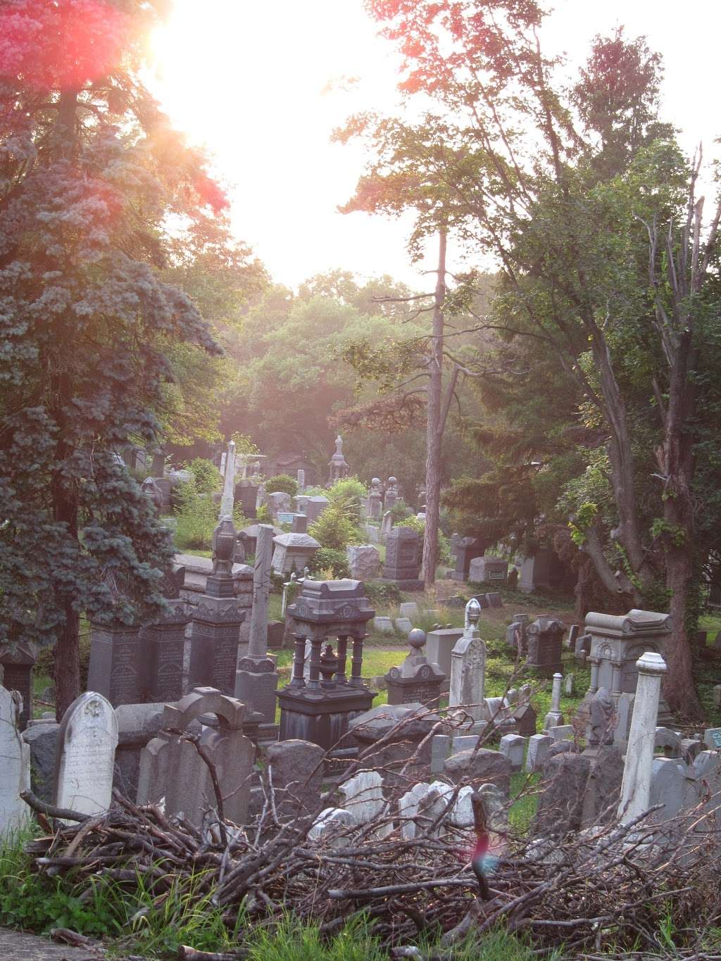 Machpelah Cemetery | 8230 Cypress Hills St, Ridgewood, NY 11385, USA | Phone: (718) 366-5959