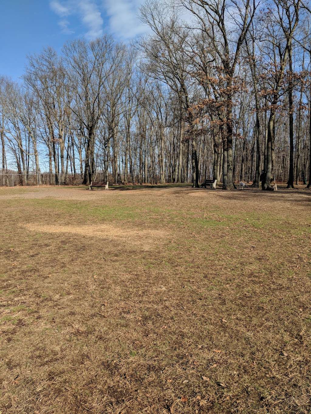 Thompson dog park | Fir Dr, Monroe Township, NJ 08831, USA | Phone: (732) 246-8311