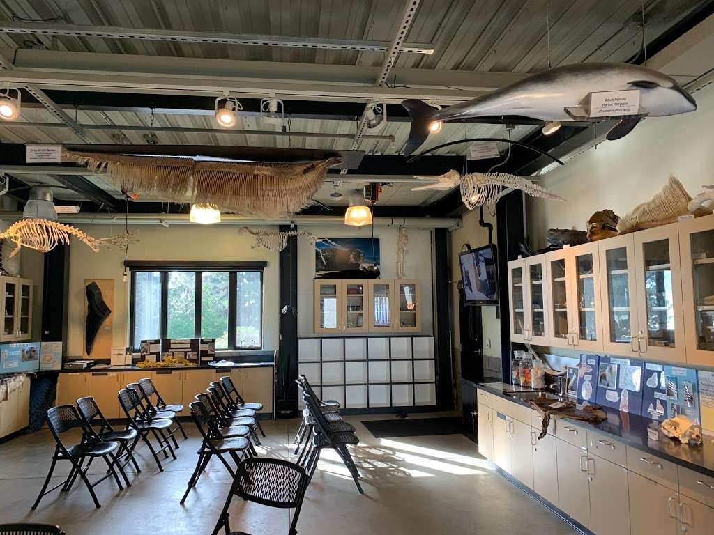 The Marine Mammal Center | 2000 Bunker Rd, Sausalito, CA 94965, USA | Phone: (415) 289-7325
