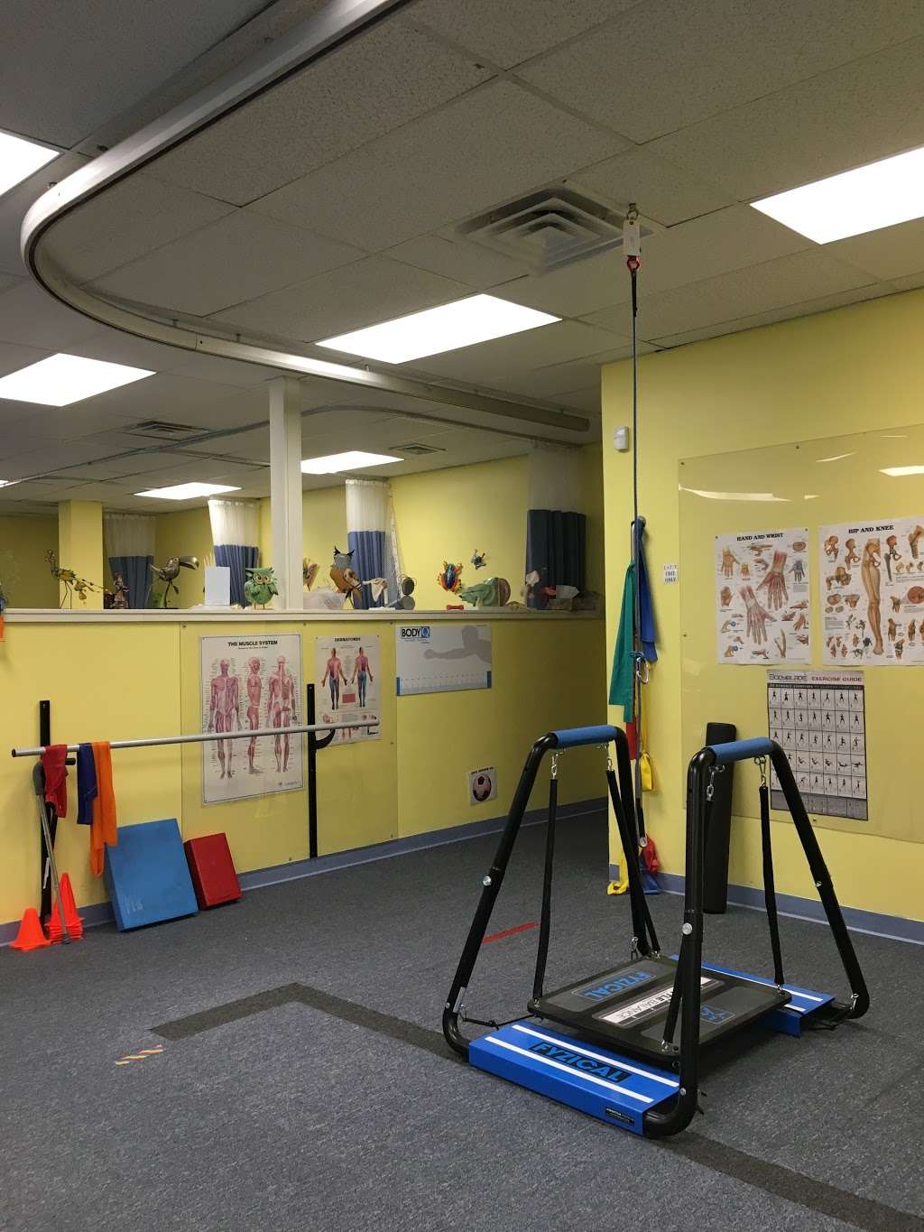 FlexPlus Physical Therapy | 251 W Central St #30, Natick, MA 01760, United States | Phone: (508) 650-0060