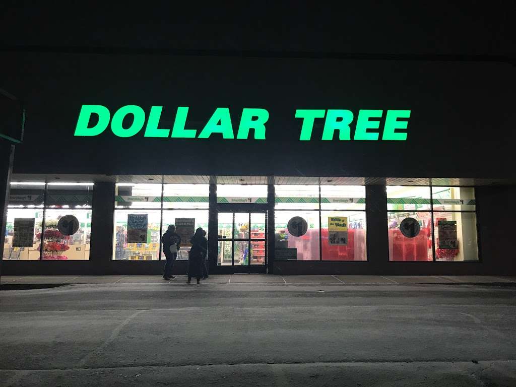 Dollar Tree | 2900 Colorado Ave, Joliet, IL 60431 | Phone: (815) 439-8856