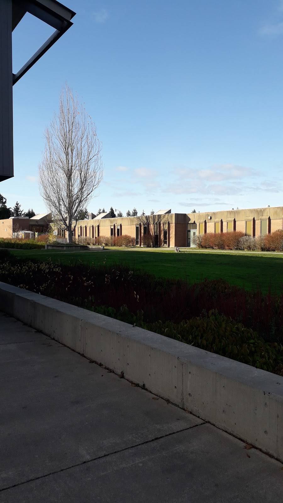 Bainbridge High School | 9330 High School Rd NE, Bainbridge Island, WA 98110, USA | Phone: (206) 842-2634