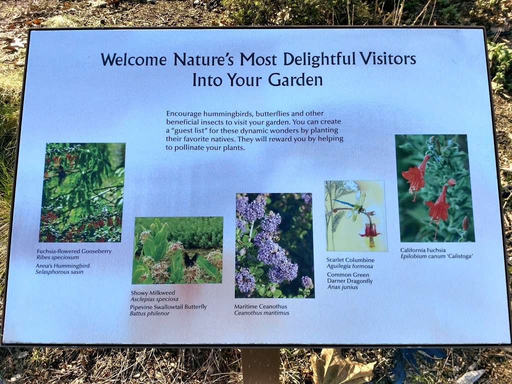 Forrest Deaner Native Plant Botanic Garden | Dillon Point Rd, Benicia, CA 94510