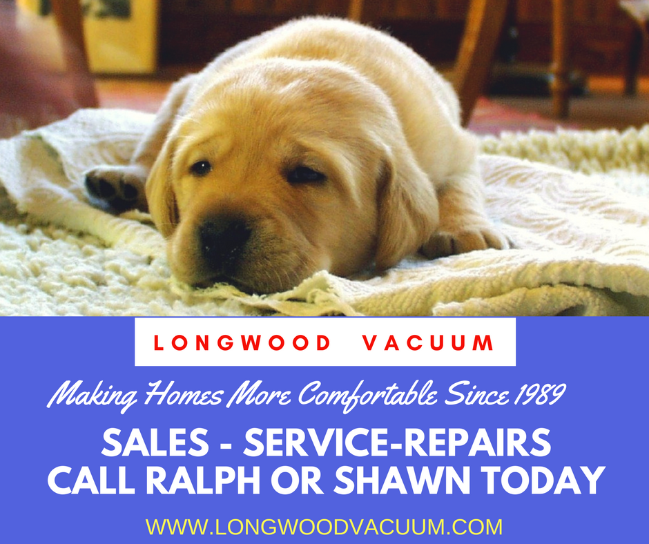 Longwood Vacuum Cleaner | 2628 W State Rd 434, Longwood, FL 32779, USA | Phone: (407) 682-6605