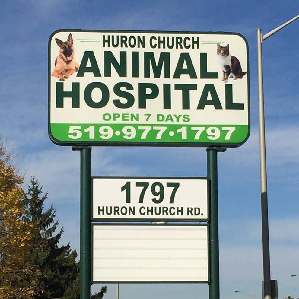 Huron Church Animal Hospital | 1797 Huron Church Rd, Windsor, ON N9C 2L3, Canada | Phone: (519) 977-1797