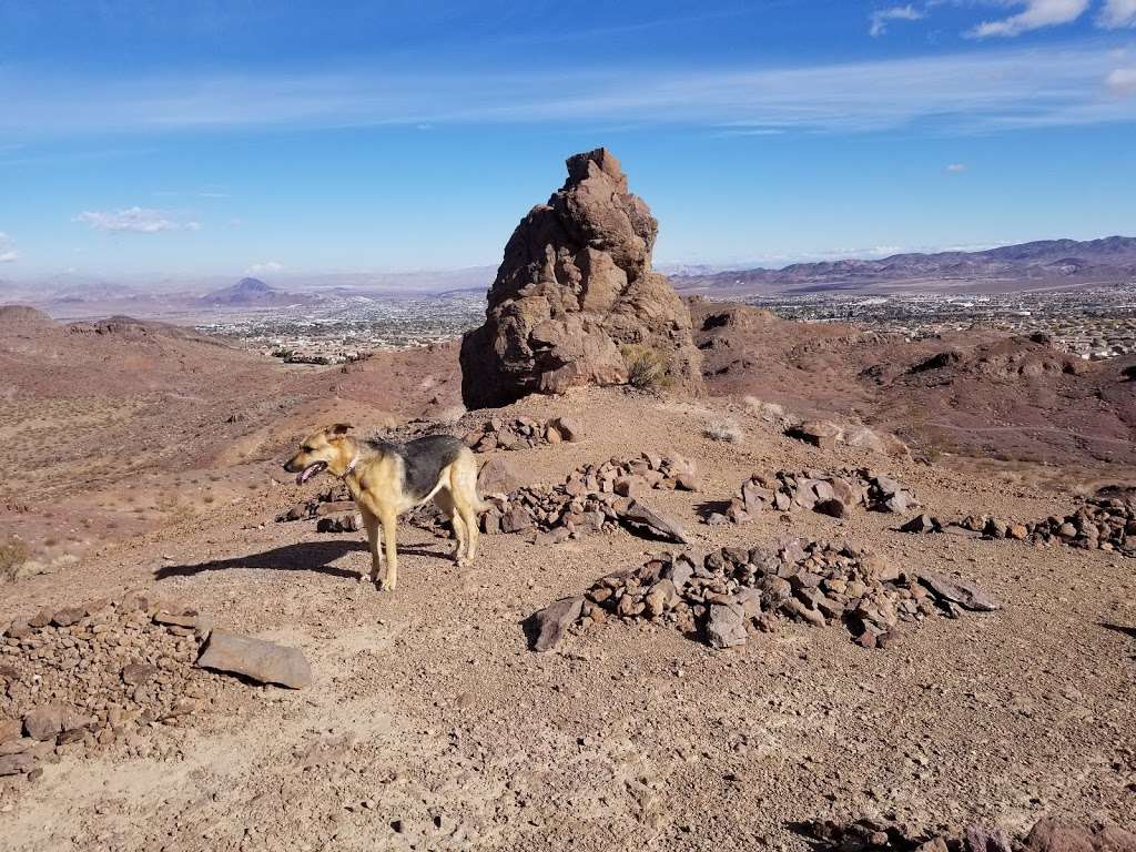 Lizard Rock McCullough | Henderson, NV 89052, USA