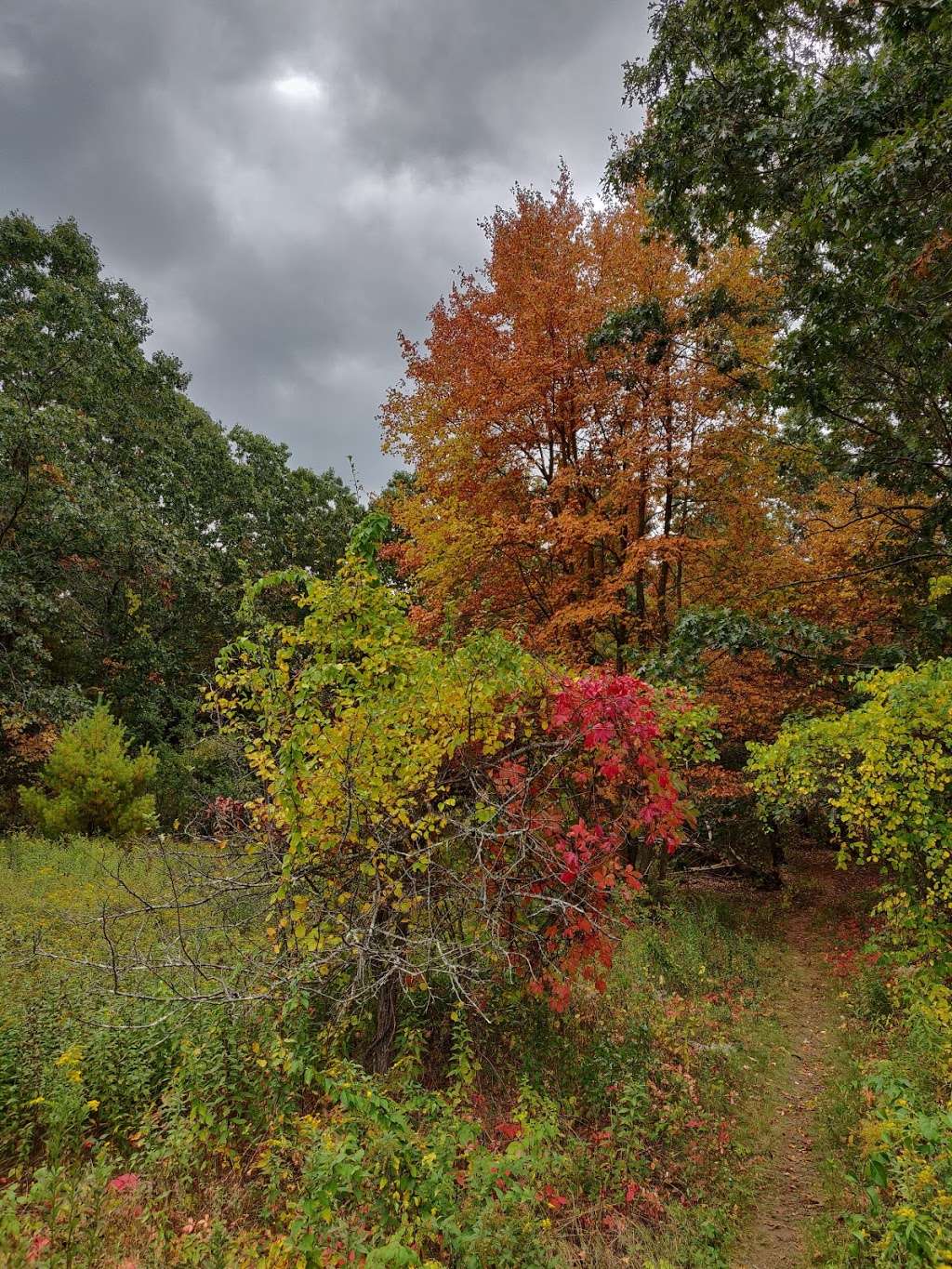 Little River Trail | Hale St, Newburyport, MA 01950, USA