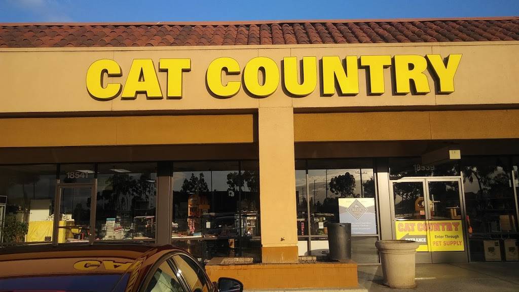 Cat Country | 18541 Brookhurst St, Fountain Valley, CA 92708, USA | Phone: (714) 964-5585
