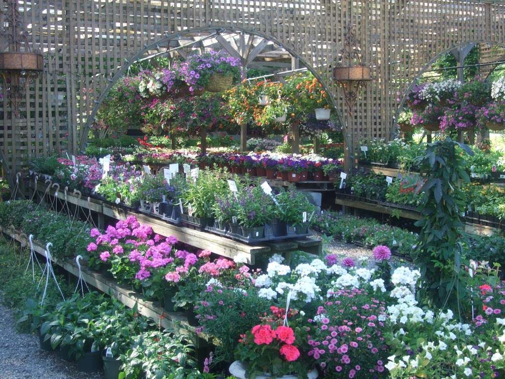 Evergreen Nurseries Inc. | 688 Cross River Rd, Katonah, NY 10536, USA | Phone: (914) 232-7771