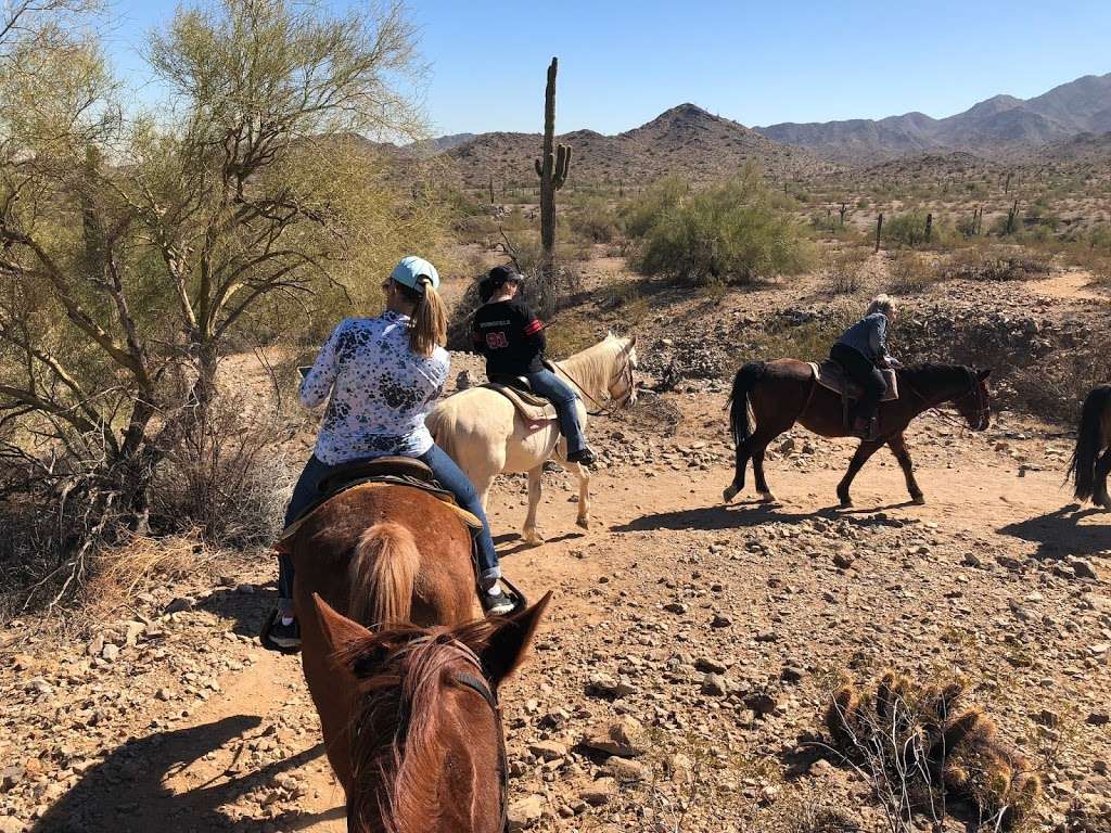 Corral West Horse Adventures | 14401 W Arena Dr #9019, Goodyear, AZ 85338, USA | Phone: (480) 450-2651