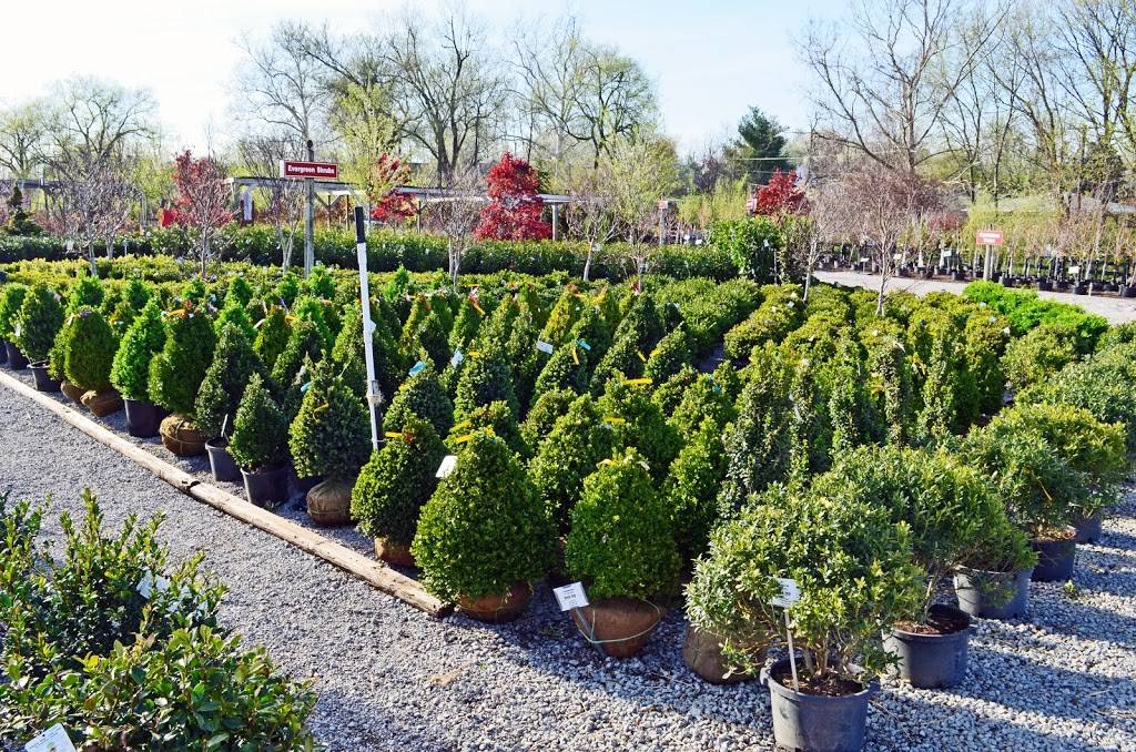 Redmonds Garden, Landscape & Gift Center | 4432 Old Nicholasville Rd, Lexington, KY 40515, USA | Phone: (859) 272-6697