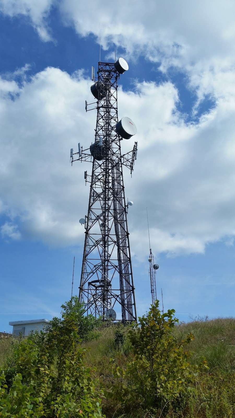 Blue Mountain Loop | Appalachian Trail, Slatington, PA 18080, USA