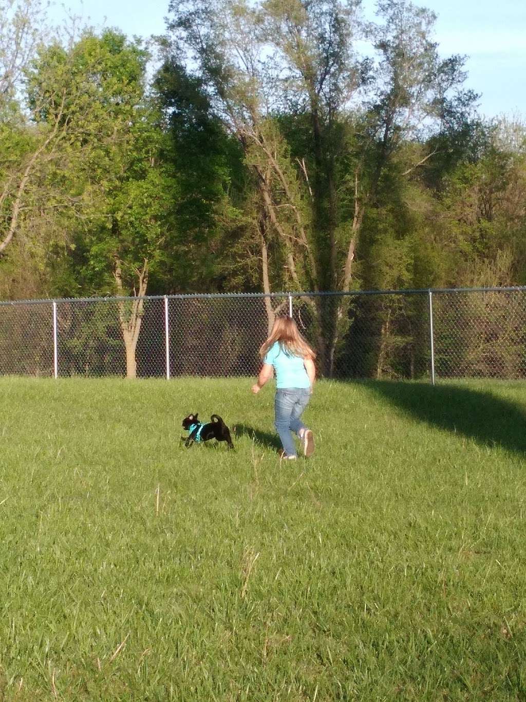 Best Friends Dog Park | 15909 Knorpp Rd, Pleasant Hill, MO 64080 | Phone: (816) 540-3135