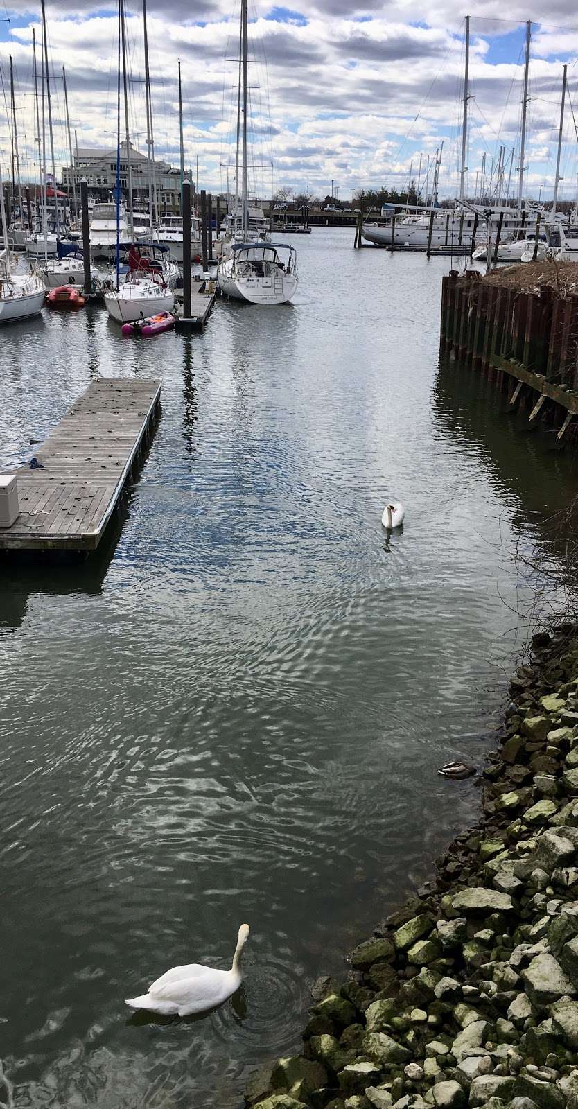 Liberty Harbor Marina Boatyard | 15 Marin Blvd, Jersey City, NJ 07302, USA | Phone: (201) 516-7500 Liberty Harbor Marina Boatyard | 15 Marin Blvd, Jersey City, NJ 07302, USA | Phone: (201) 516-7500
