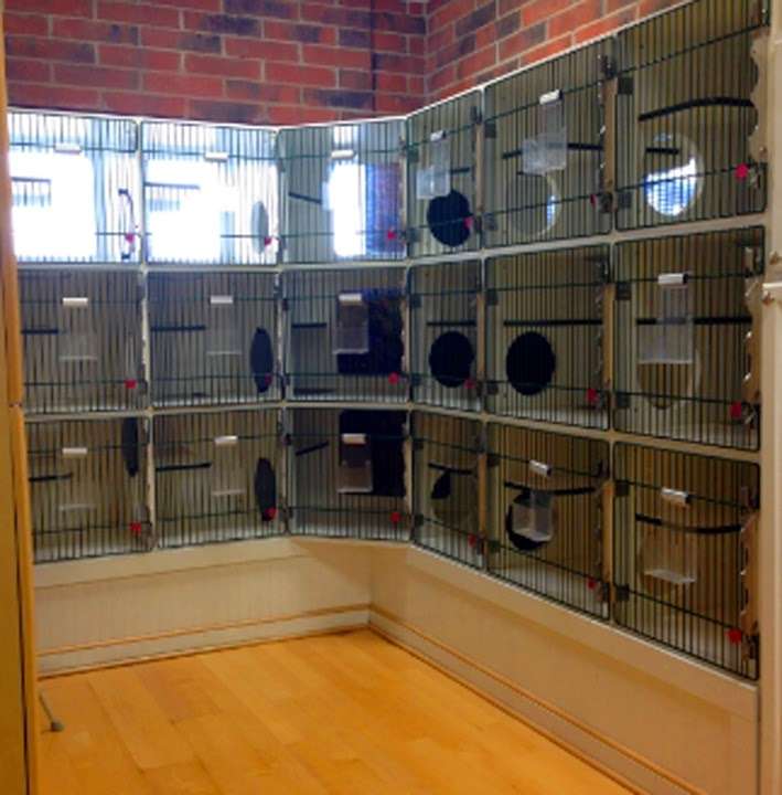 Oxford Animal Hospital | 13433 Switzer Rd, Overland Park, KS 66213, USA | Phone: (913) 681-2600