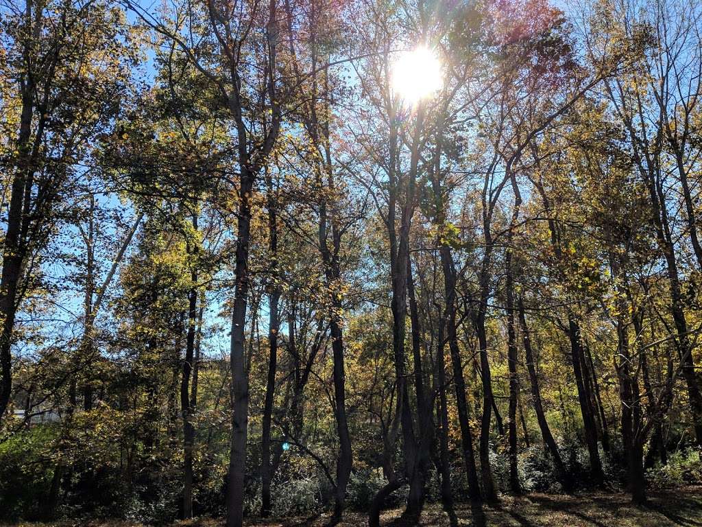 Baker's Creek Park 1275 W A St, Kannapolis, NC 28081, USA BusinessYab