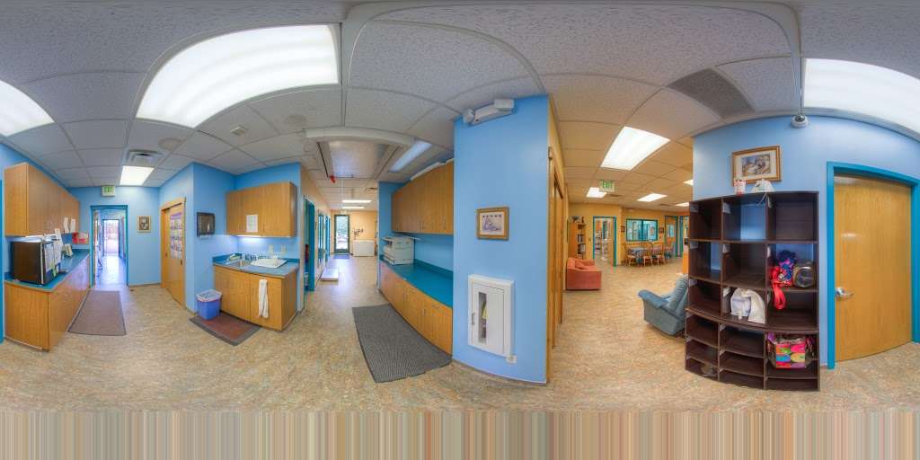 Kipling Veterinary Hospital and Wellness Center | 2095 S Oak St, Lakewood, CO 80227, USA | Phone: (303) 987-8515