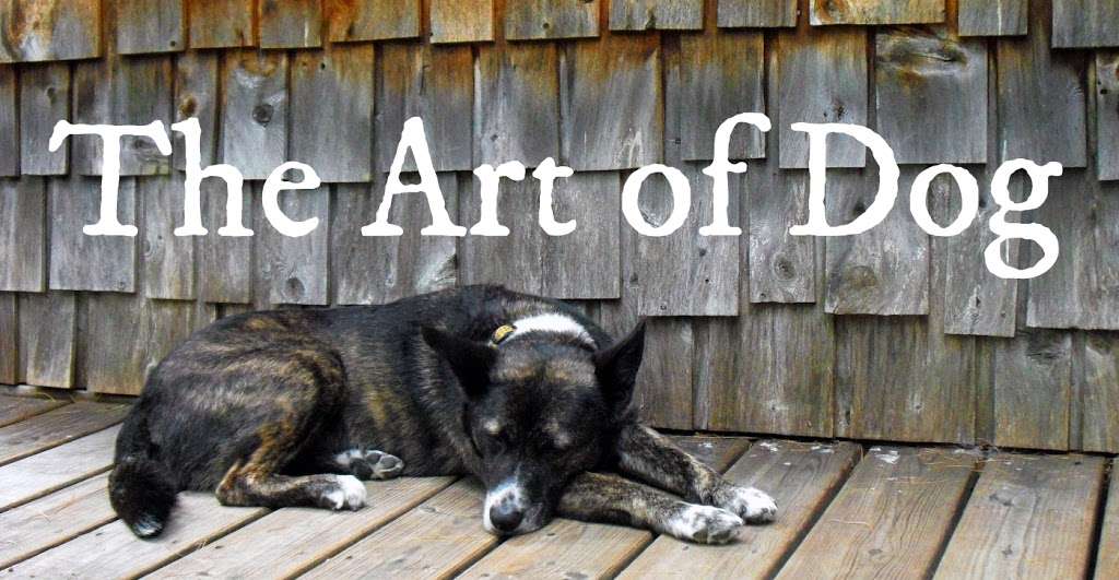The Art of Dog | 6857 Brooklyn Ave, San Diego, CA 92114, USA | Phone: (760) 212-2331
