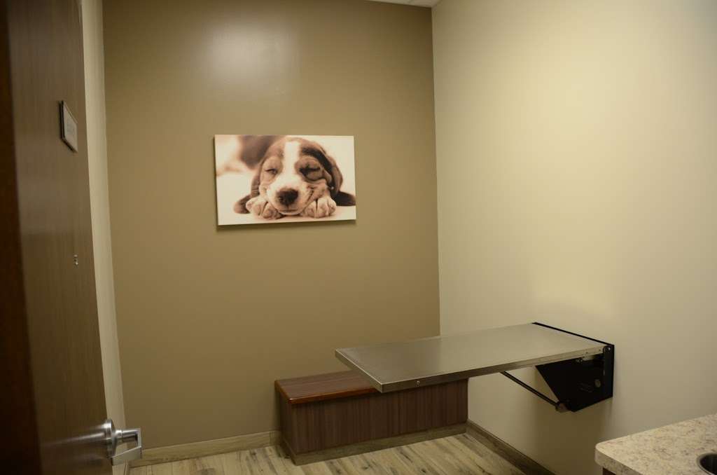 Animal Care Center of Plainfield | 14411 IL-59, Plainfield, IL 60544, USA | Phone: (815) 436-8387