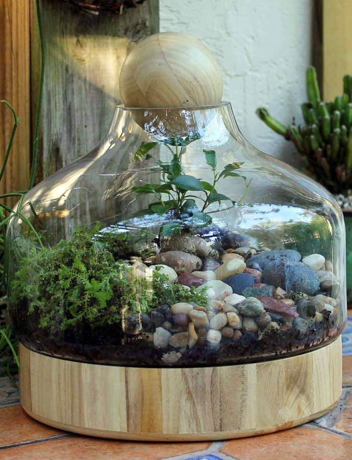 Florida Terrariums | 4430 NW 61st Pl, Coconut Creek, FL 33073, USA | Phone: (561) 305-4722