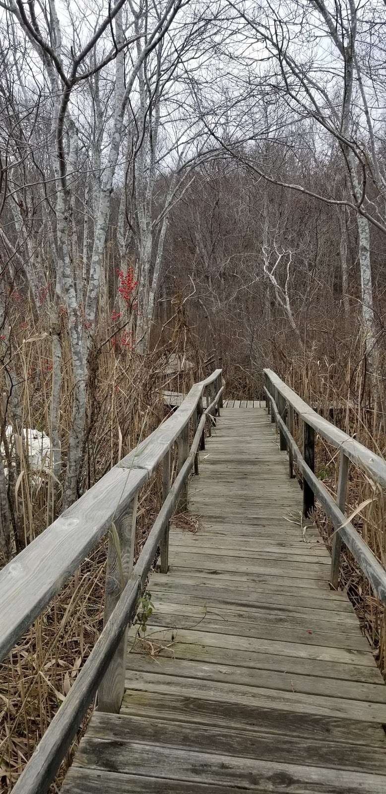 Rivermoor Habitat Park | Scituate, MA 02066, USA