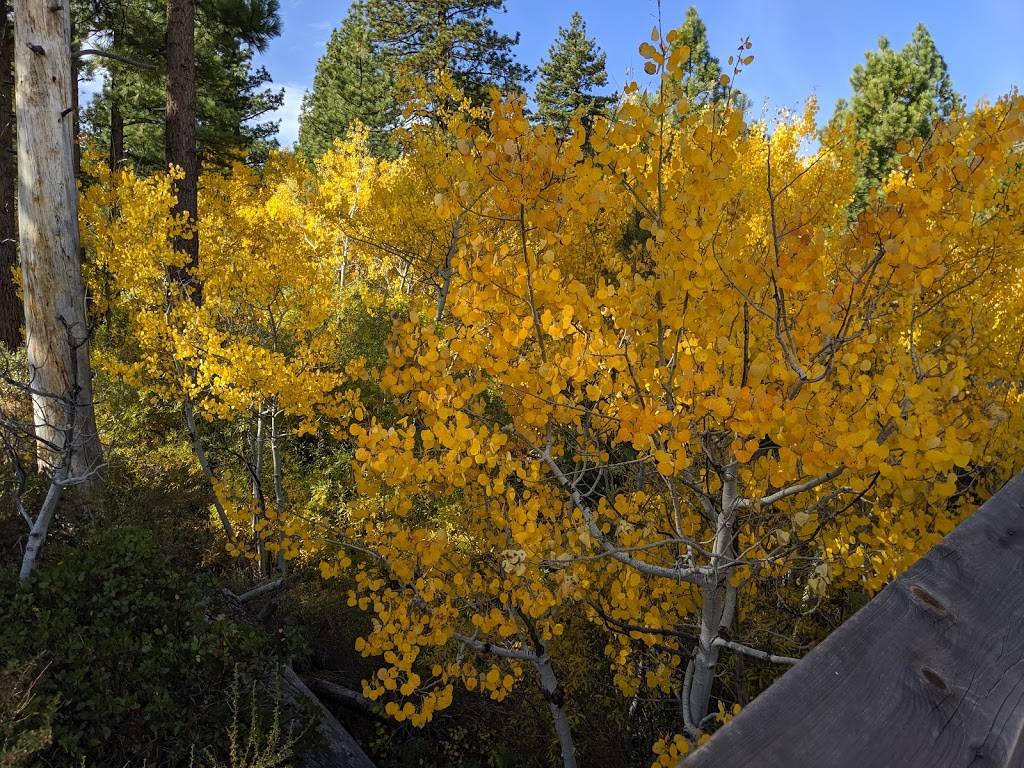 Galena Creek Visitor Center | 18250 Mt Rose Hwy, Reno, NV 89511, USA | Phone: (775) 849-4948