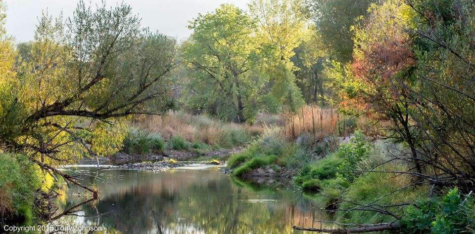 Walden Ponds Wildlife Habitat | Boulder, CO 80301, USA | Phone: (303) 678-6200