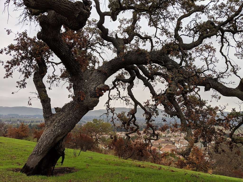 Ohlone Trail Parking (Lime Ridge) | 5150 Montecito Dr, Concord, CA 94521, USA