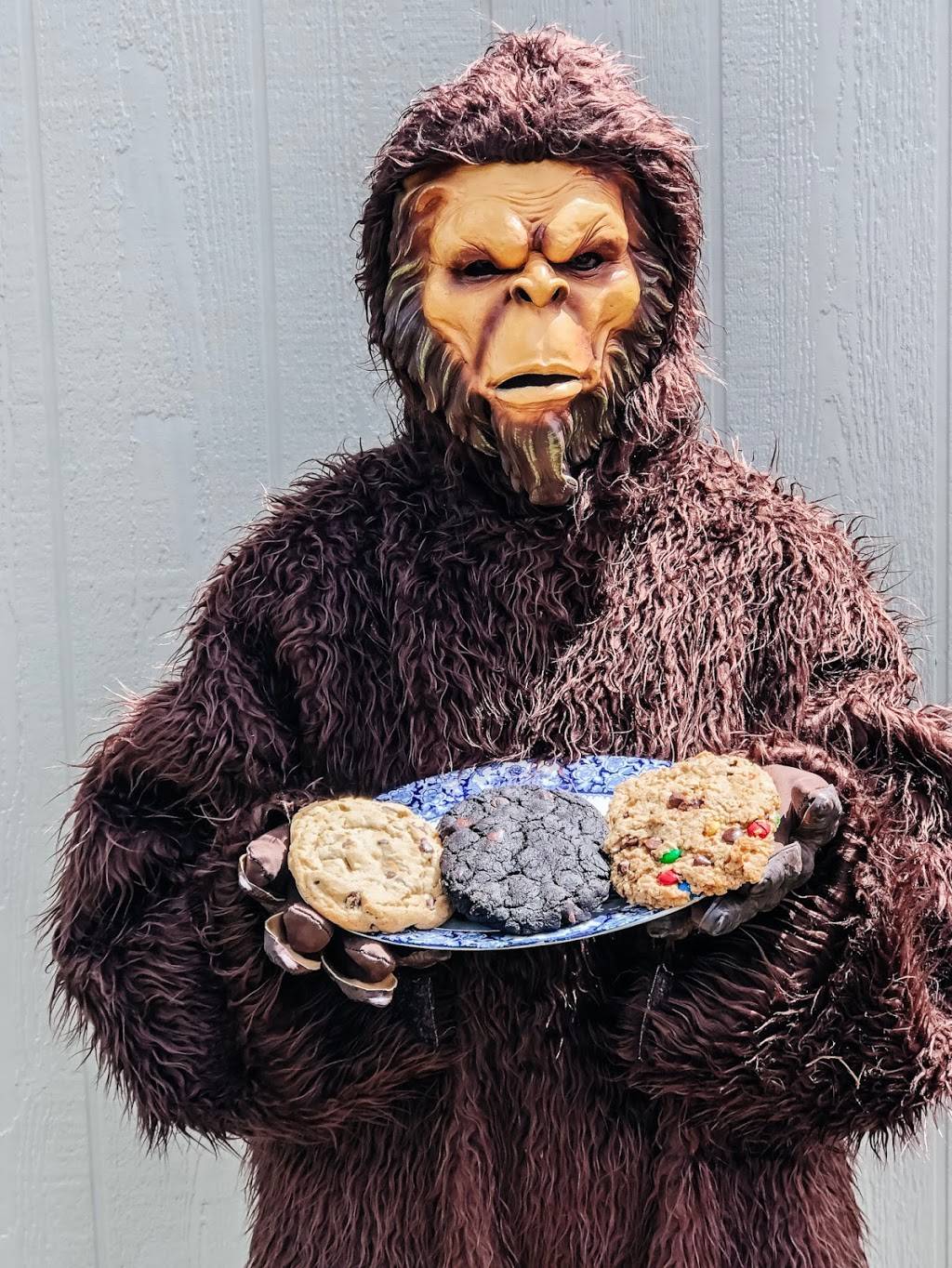 Sasquatch Cookies | 1020 E Jefferson St Suite 100, Colorado Springs, CO 80907, USA | Phone: (719) 632-5196