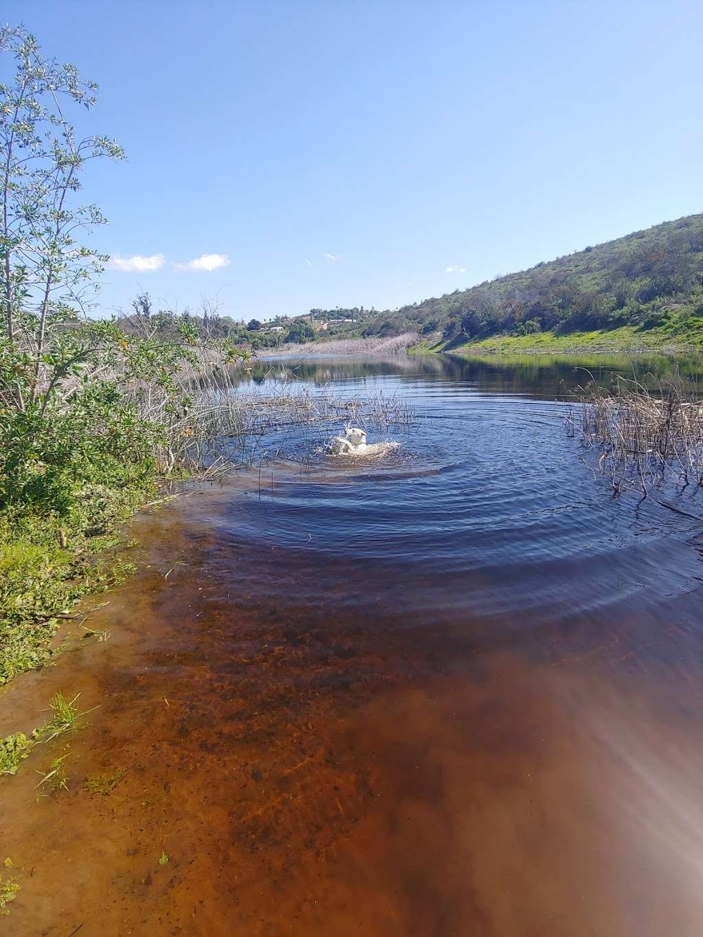 Abeja Pond | Vista, CA 92084, USA