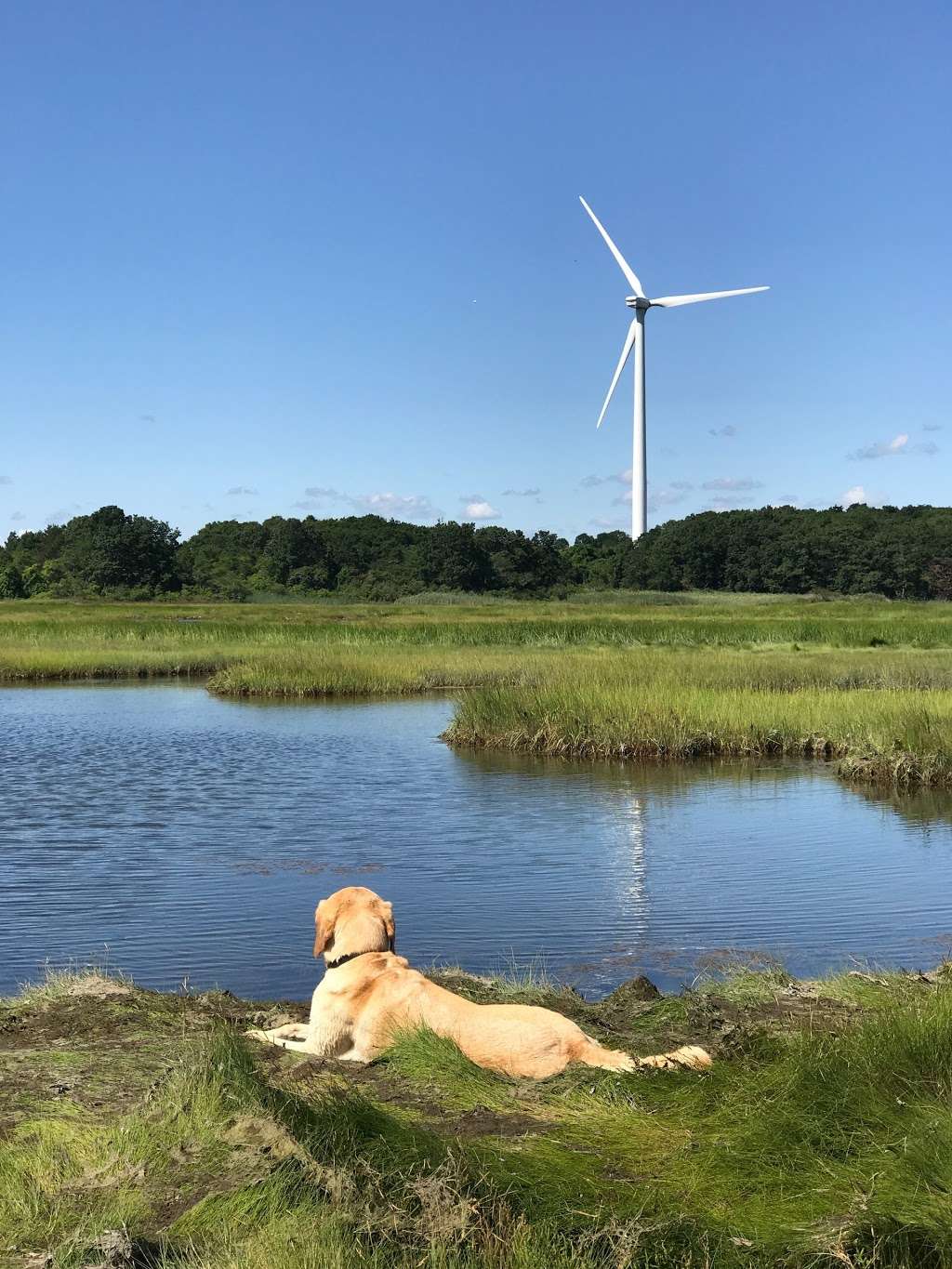 Ipswich Salt Marsh | 01938, Ipswich, MA 01938, USA