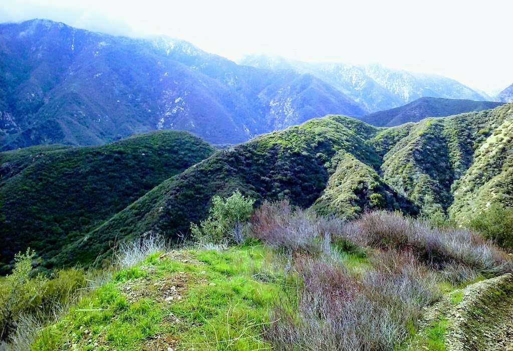 Chaparral Neighborhoods Native Plant Garden | Lytle Creek Rd, Lytle Creek, CA 92358, USA | Phone: (909) 382-2600