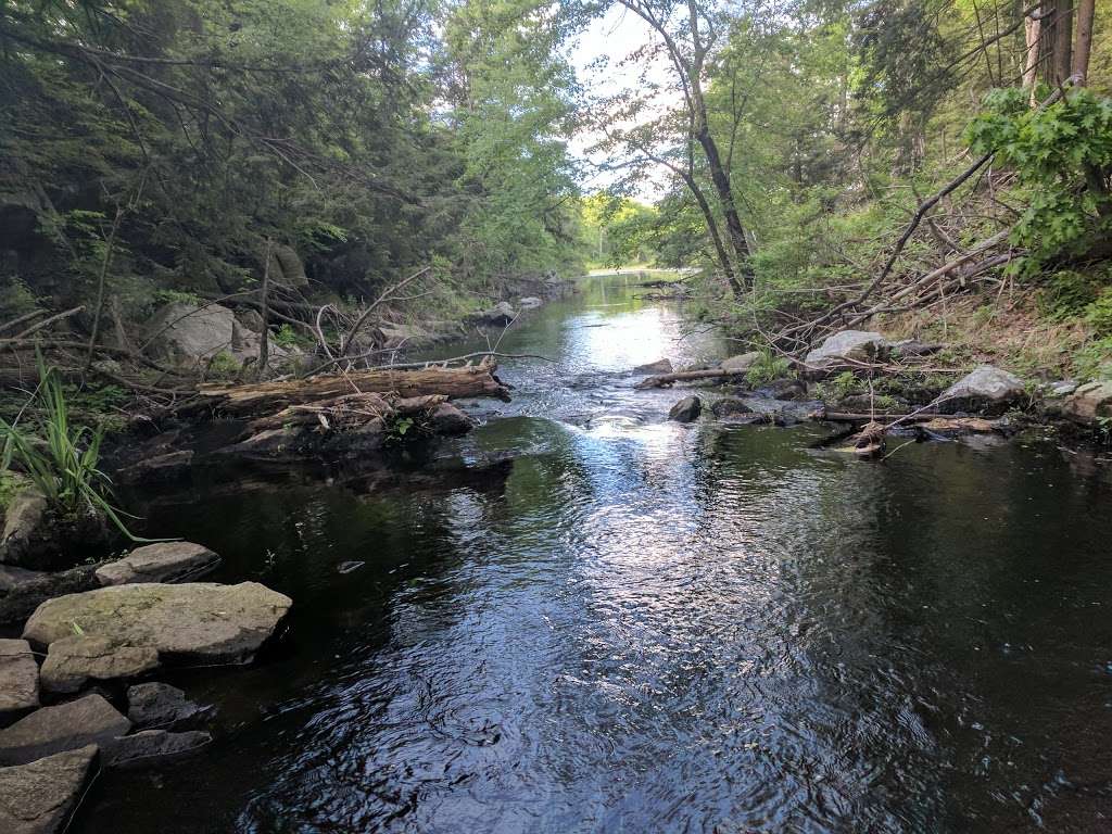 Appalachian Trail | Orange Turnpike, Southfields, NY 10975