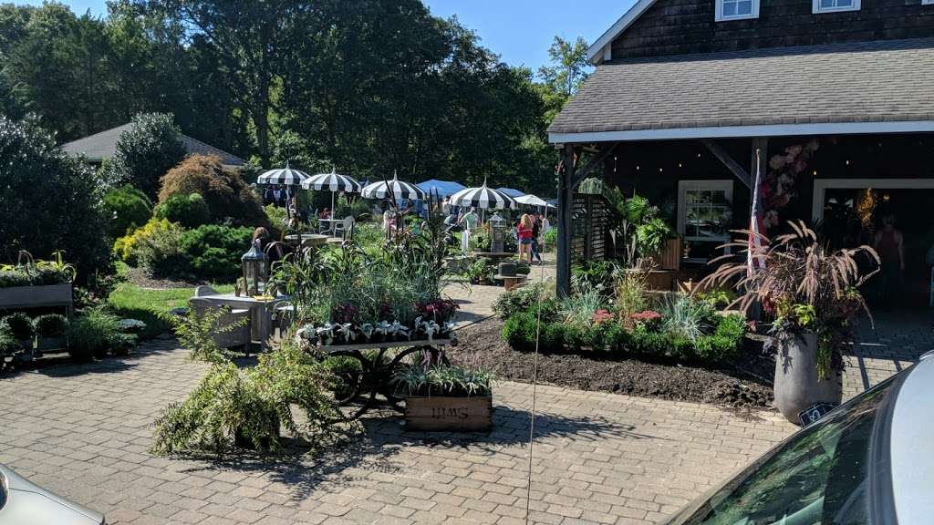 The Herbary - Bear Creek Farm | 494 Lakewood Farmingdale Rd, Howell, NJ 07731 | Phone: (732) 938-2327