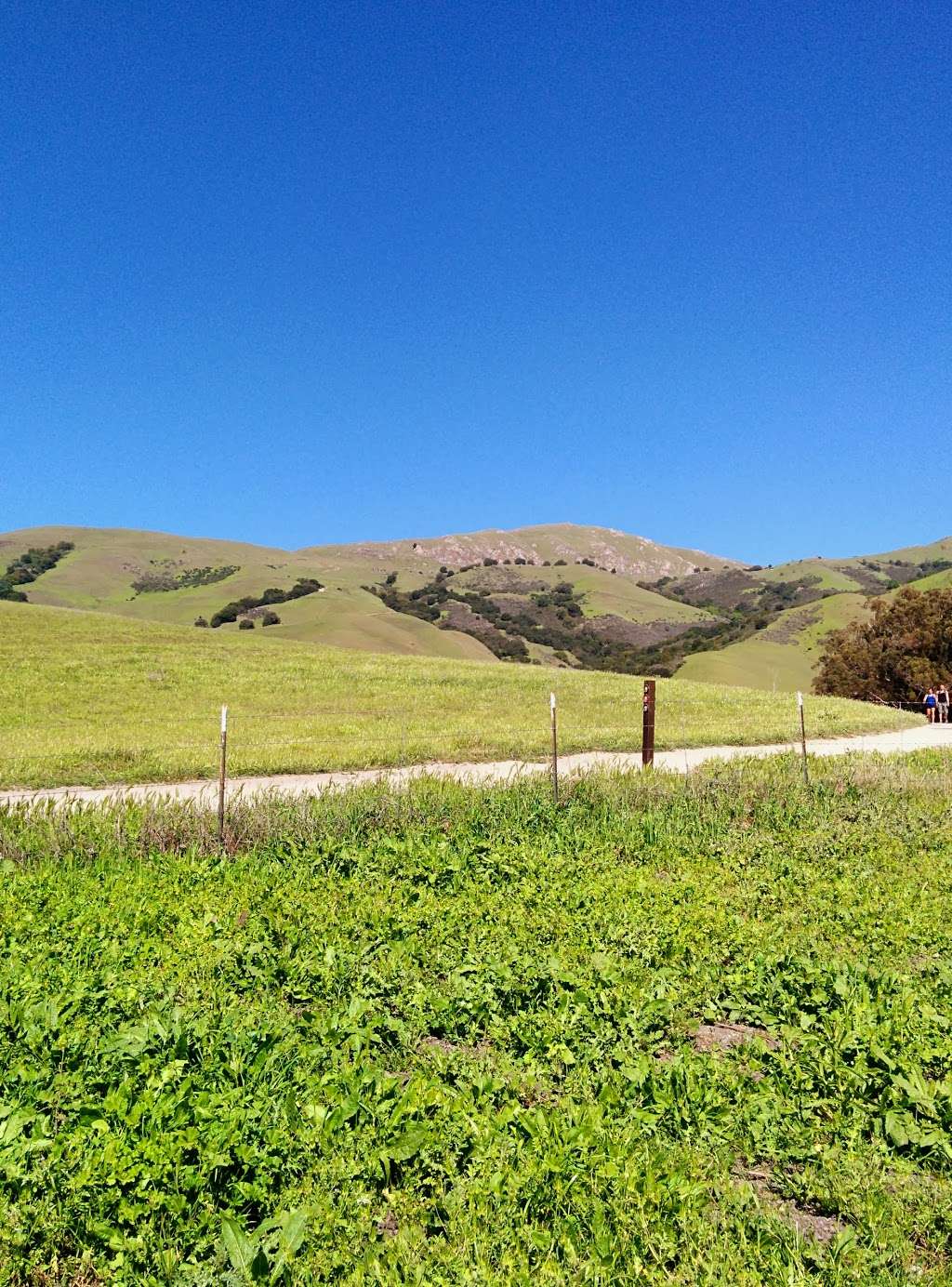 Ohlone Regional Wilderness Trail | 270 Stanford Ave, Fremont, CA 94539, USA | Phone: (510) 544-3246