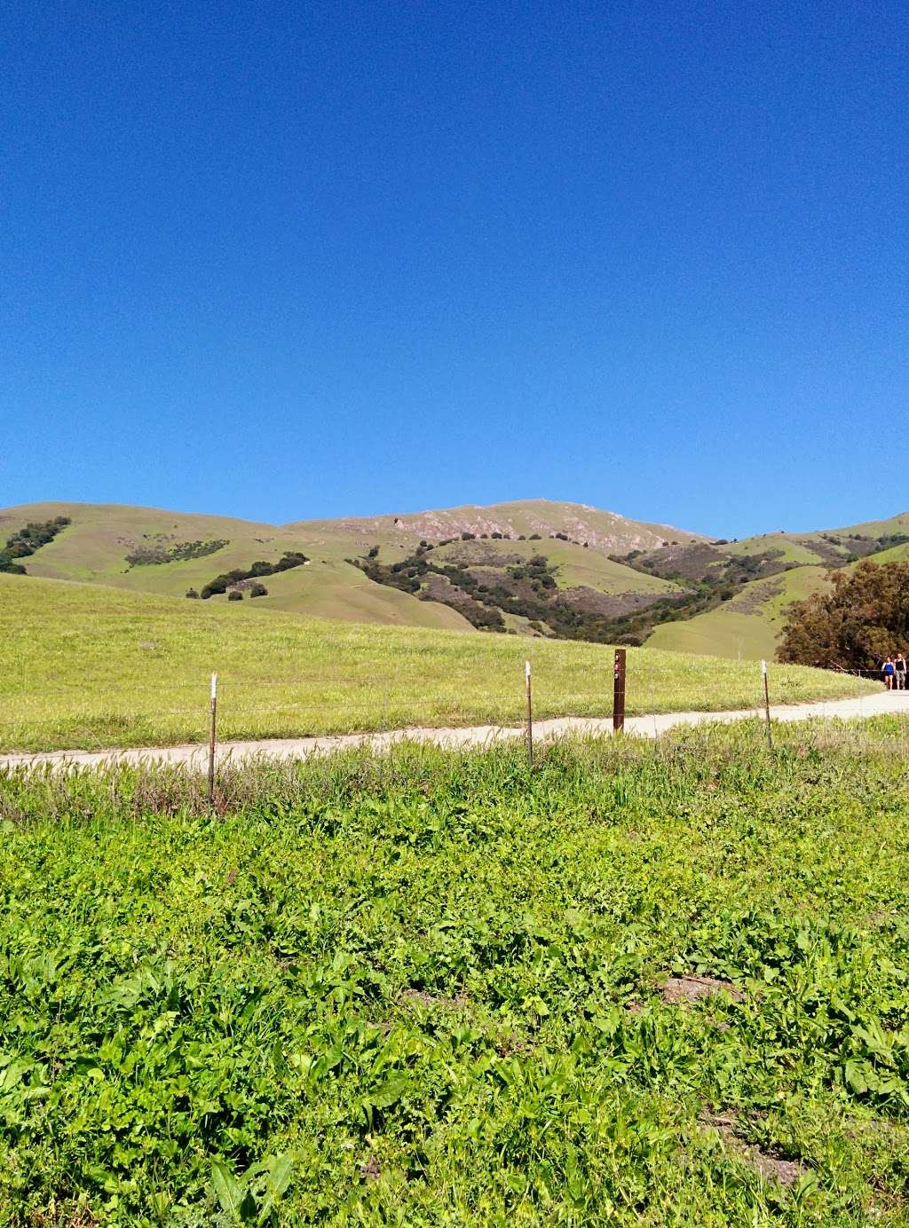 Ohlone Regional Wilderness Trail | 270 Stanford Ave, Fremont, CA 94539, USA | Phone: (510) 544-3246