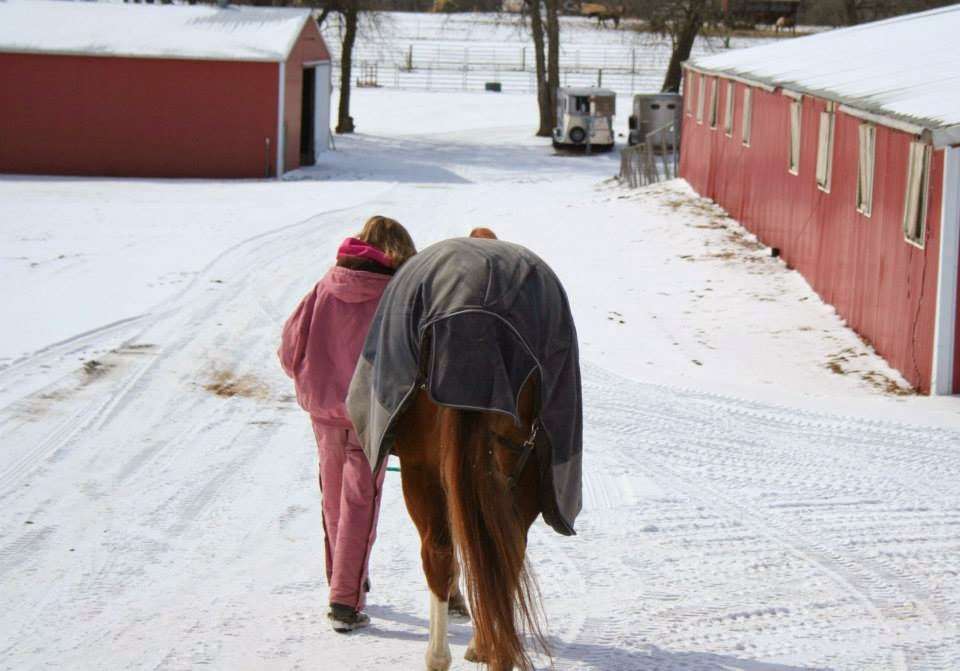 Sunset Trails Stables | 2100 SE Ranson Rd, Lees Summit, MO 64082, USA | Phone: (816) 554-7699