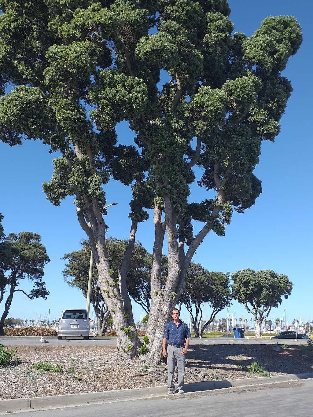 Chula Vista Bayfront Park | 980 Marina Way, Chula Vista, CA 91910, USA | Phone: (619) 748-0407