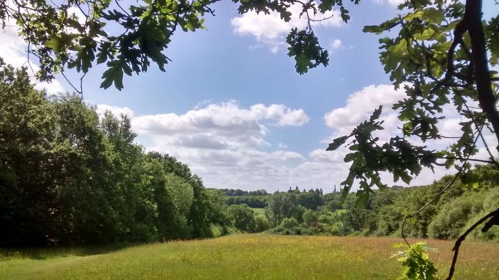 Bencroft Wood Nature Reserve | Broxbourne SG13 8PA, UK