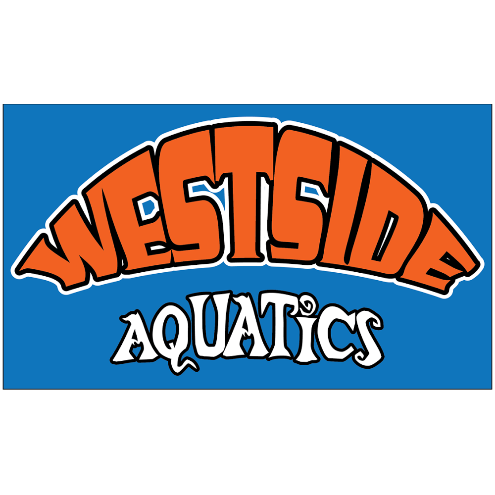 Westside Aquatics Swim Lessons | 15777 Bowdoin St, Pacific Palisades, CA 90272, USA | Phone: (310) 745-7111