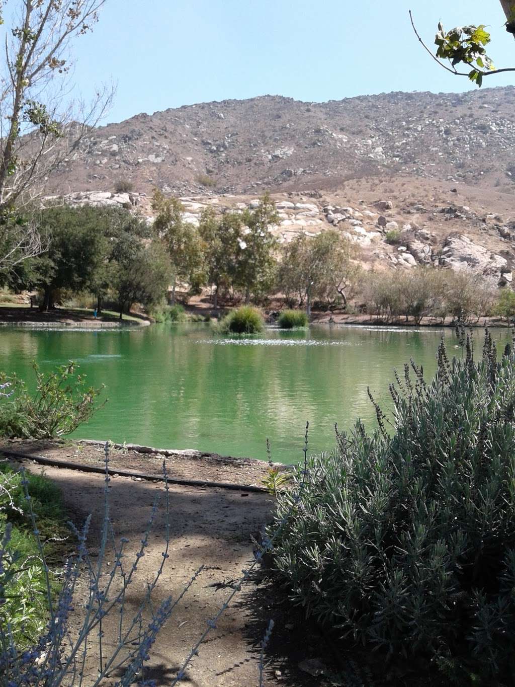 Mary Vagle Nature Center | 11501 Cypress Ave E, Fontana, CA 92337, USA | Phone: (909) 349-6994