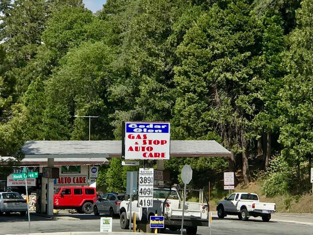 Cedar Glen Gas Stop | 231 N, CA-173, Lake Arrowhead, CA 92352, USA | Phone: (909) 336-0916