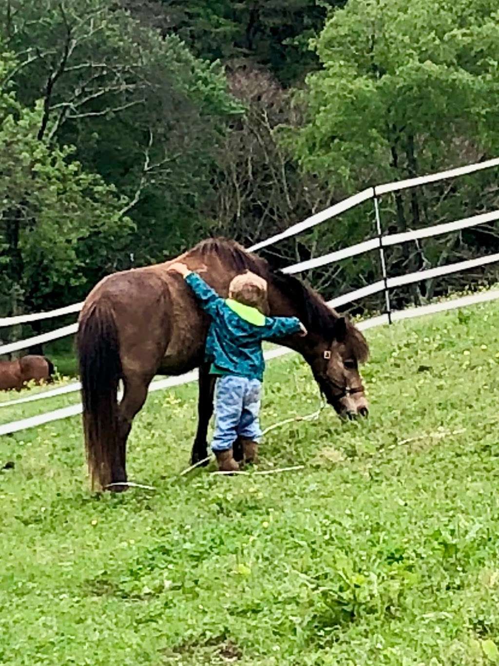 Thousand Hills Riding Stables | 4098 Ashville Rd, Delaplane, VA 20144, USA | Phone: (540) 364-1124