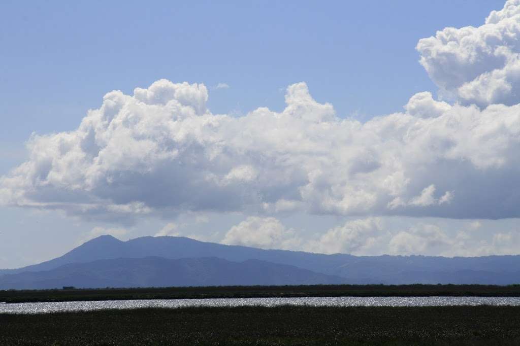 Meadows & Severus | Vallejo, CA 94589, USA