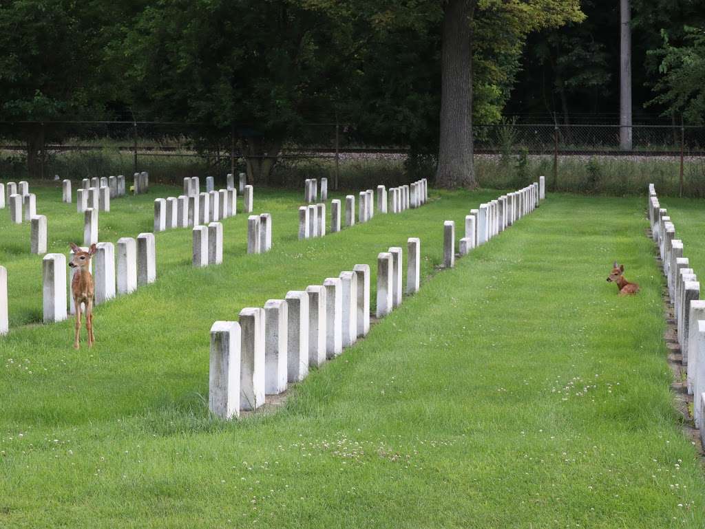 St Joseph Catholic Cemetery & Mausoleums | Belmont and, N Cumberland Ave, River Grove, IL 60171, USA | Phone: (708) 453-0184