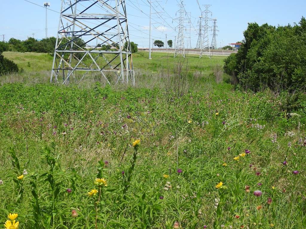 Native Prairie and Woodland | Mesquite, TX 75150, USA