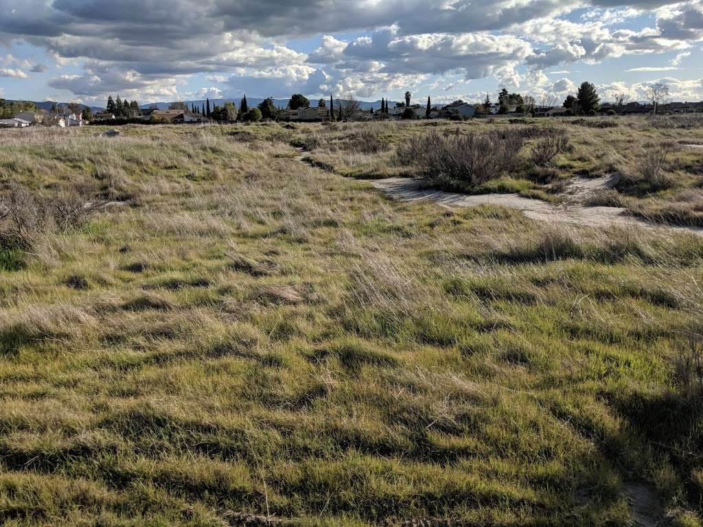 Springtown Wetlands Preserve | Livermore, CA 94551, USA